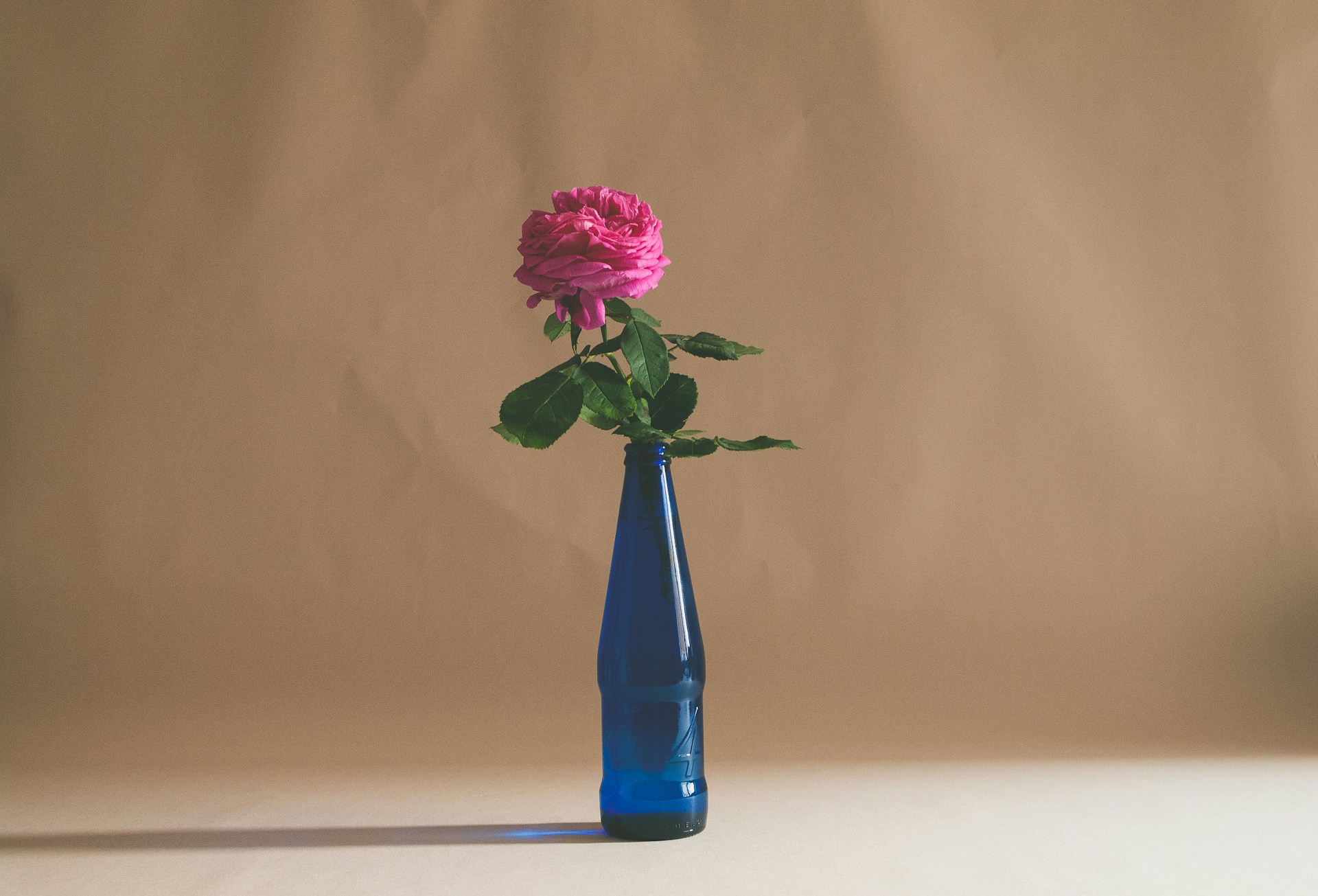 A Beginner’s Guide to Hydrosols: The Gentle Side of Distillation