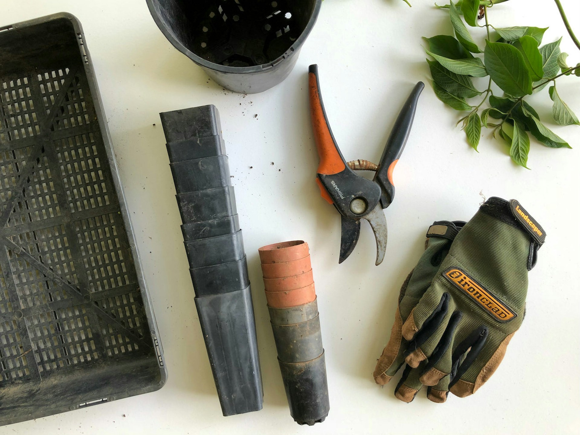 Caring for Your Skin and Hands After a Day in the Garden