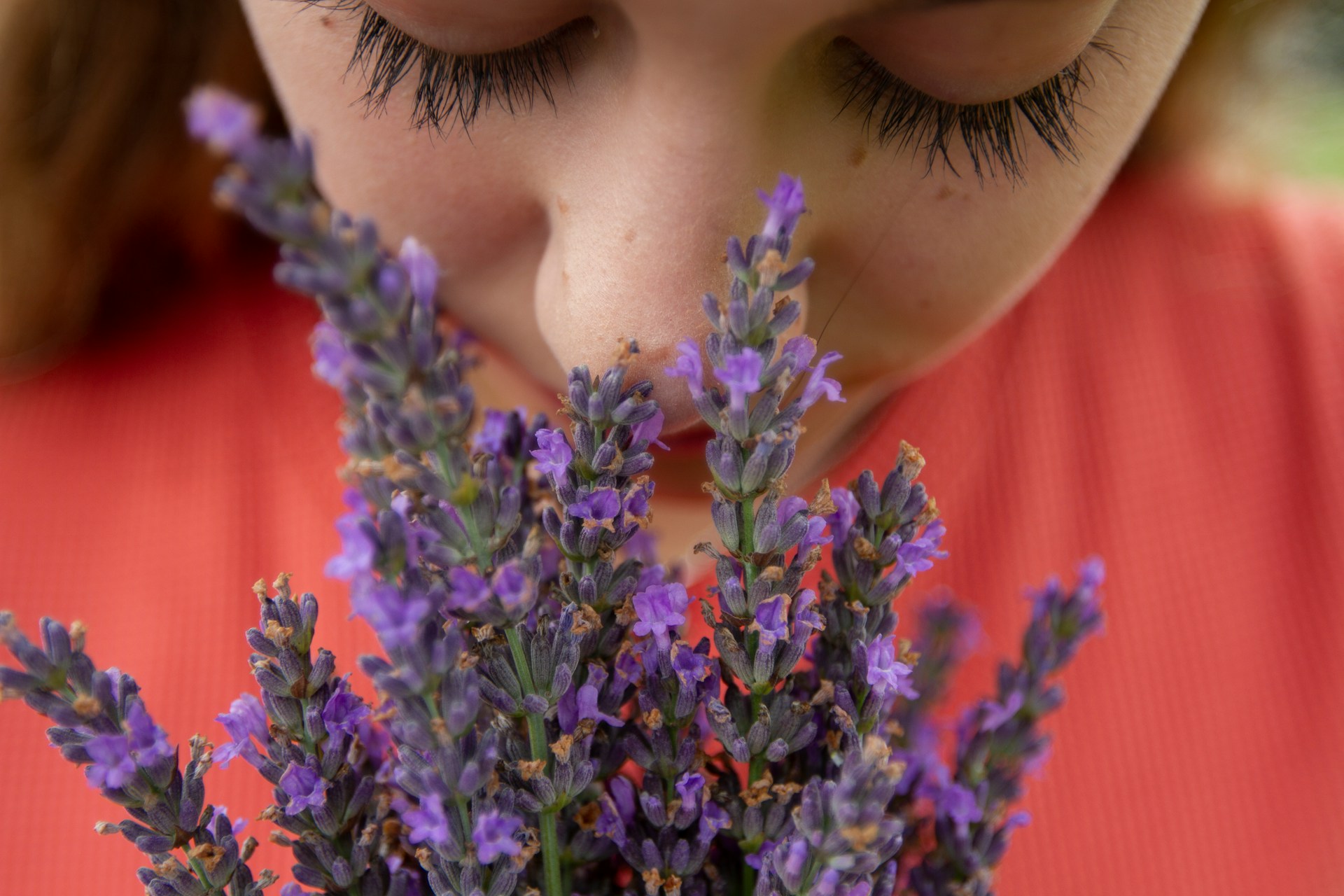 How Scent and Memory Connect: Why a Smell Can Carry You Back in Time