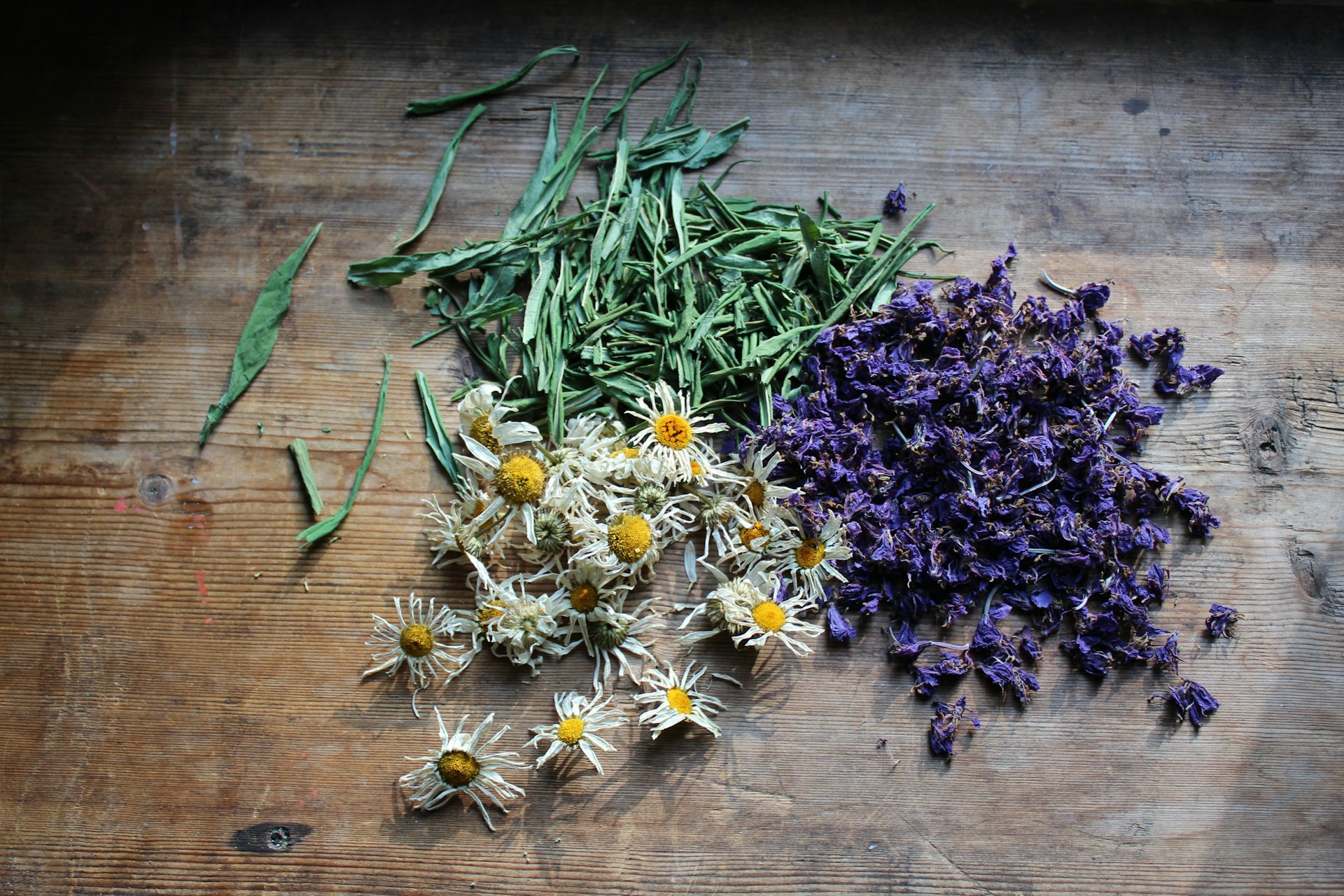 Scent Families Explained: Floral, Woody, Herbal, Citrus and Spice