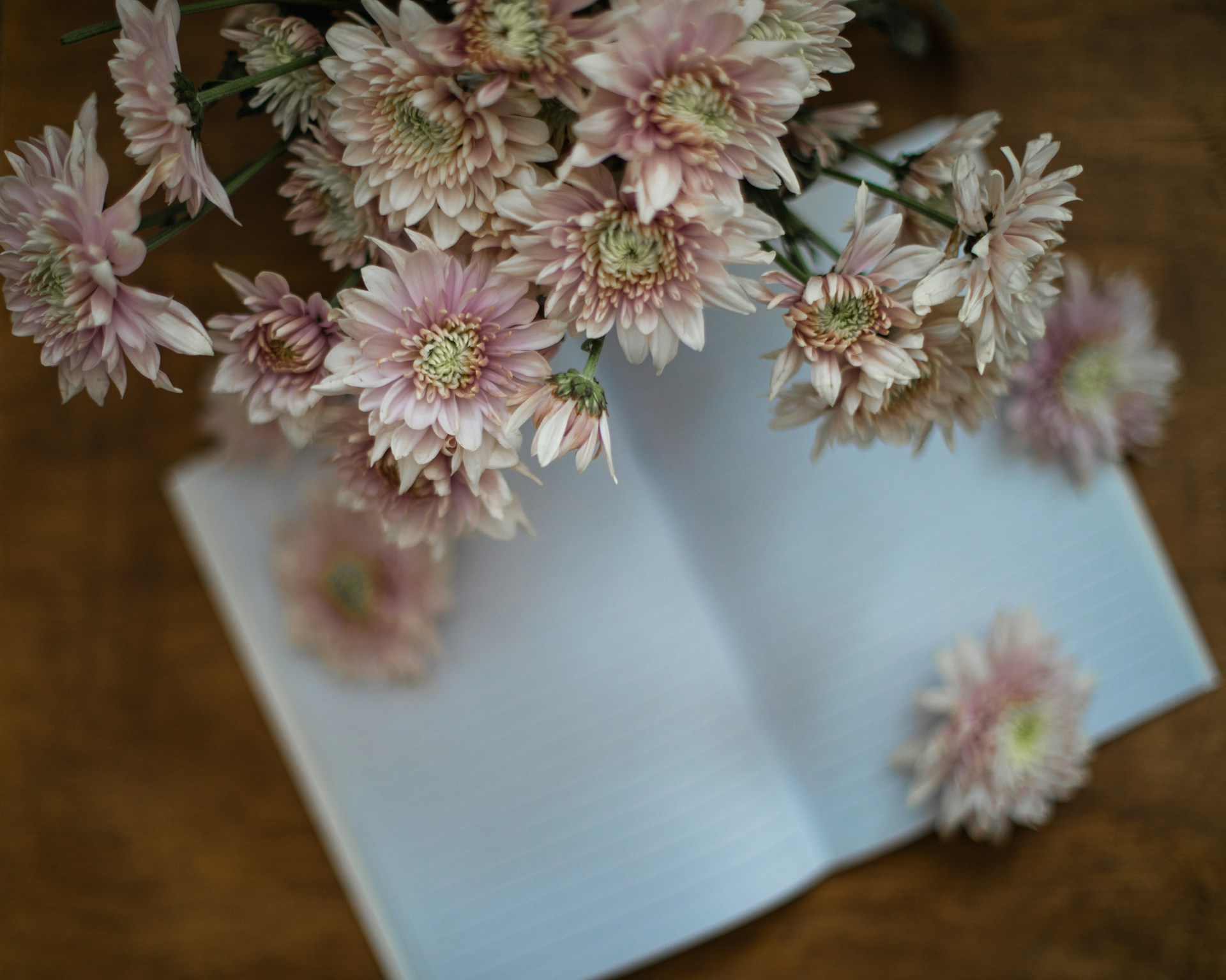 Spring Journaling Prompts for Renewal and Letting Go