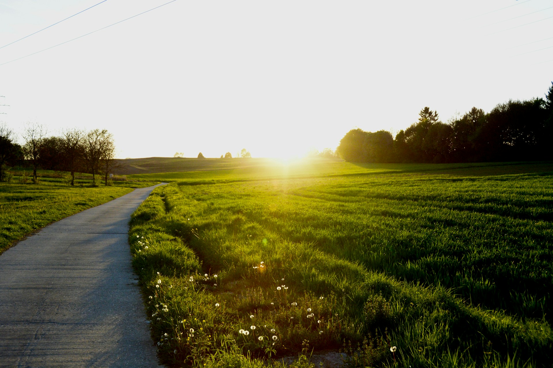Welcoming the Spring Equinox: A Gentle Seasonal Reset