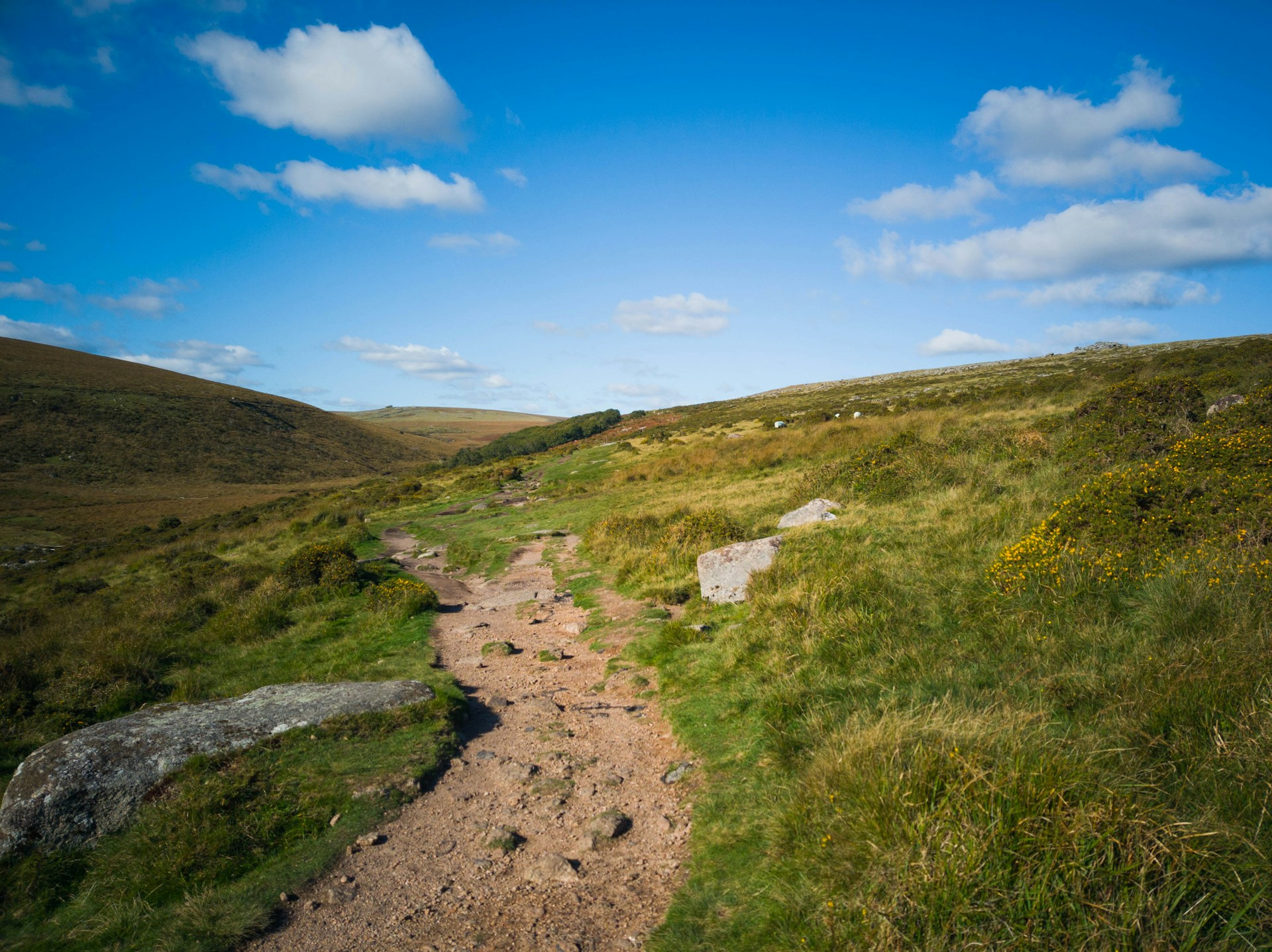A Mindful Walk at Ocmulgee Mounds: Slowing Down in an Ancient Landscape