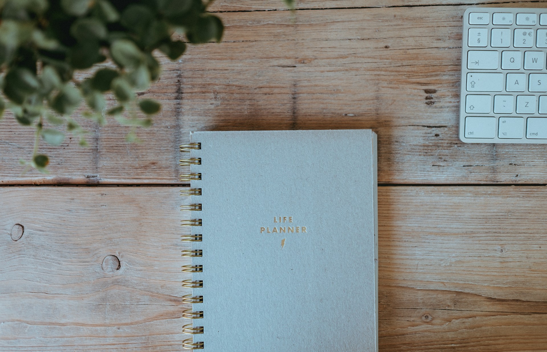 Deadline Weeks: Calming Rituals for Tax Season and Other Crunch Times