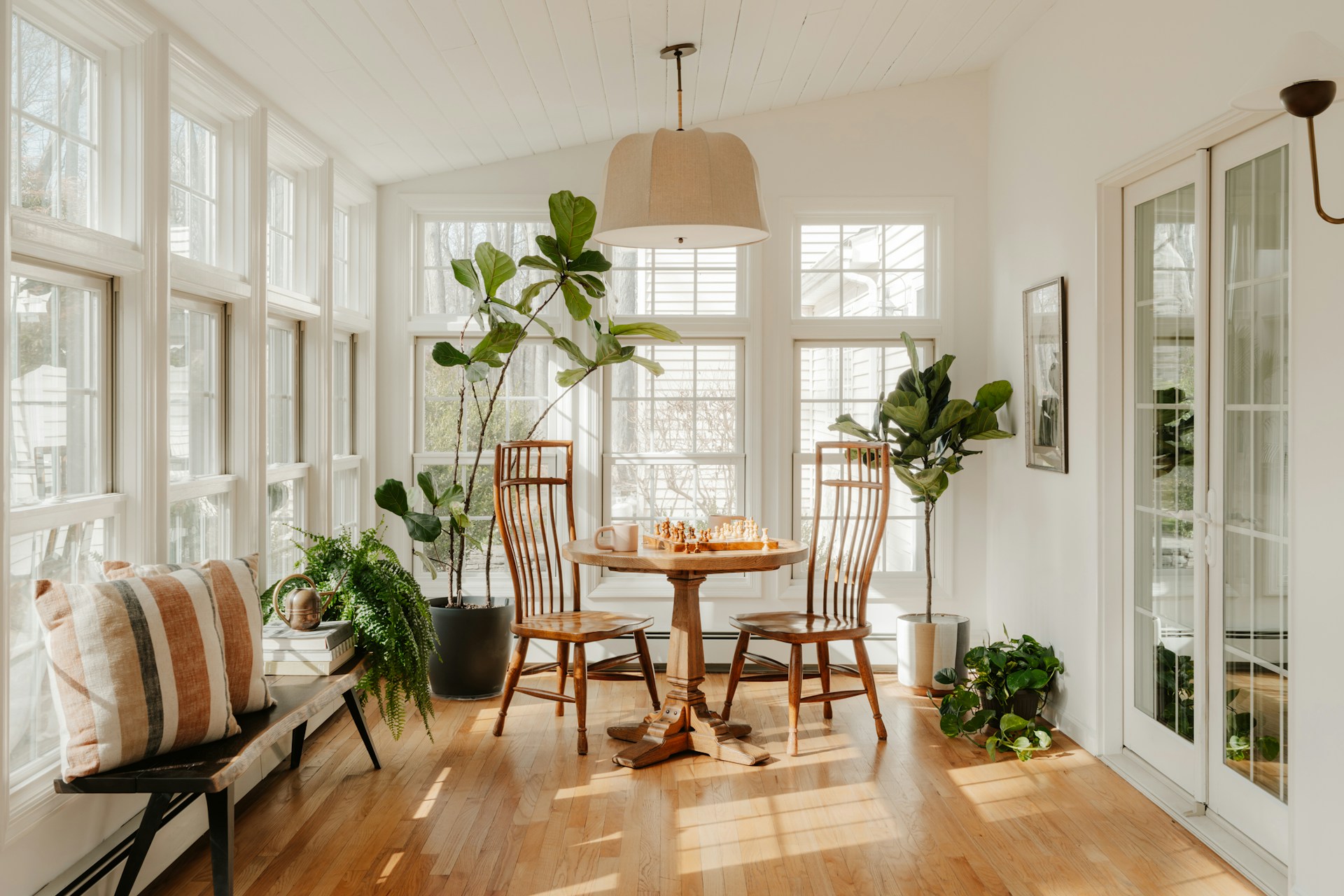 Houseplants and Calm: Your Questions About Easy Indoor Greenery, Answered