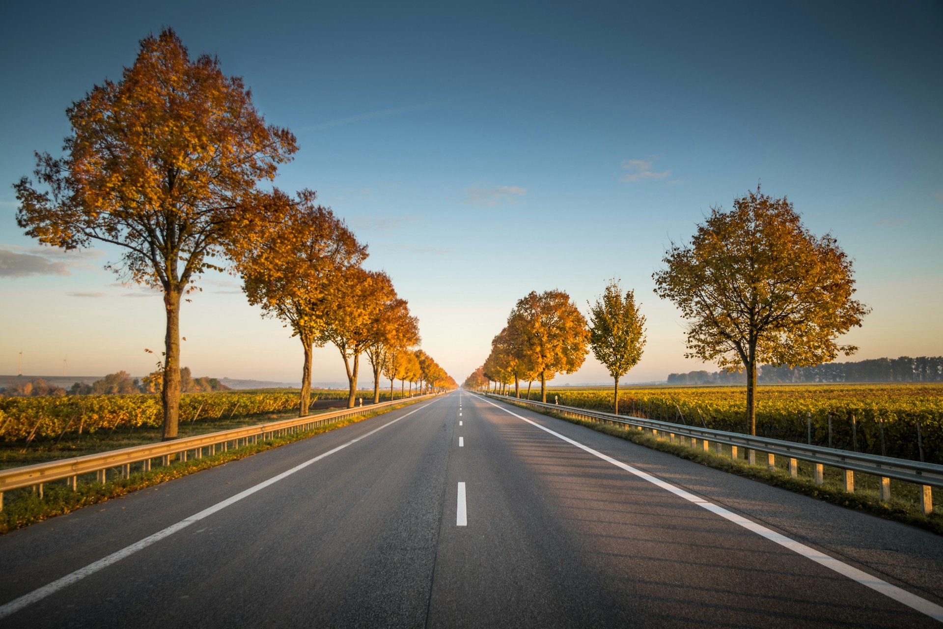 Mindful Commuting: Finding Calm on the Drive to Work