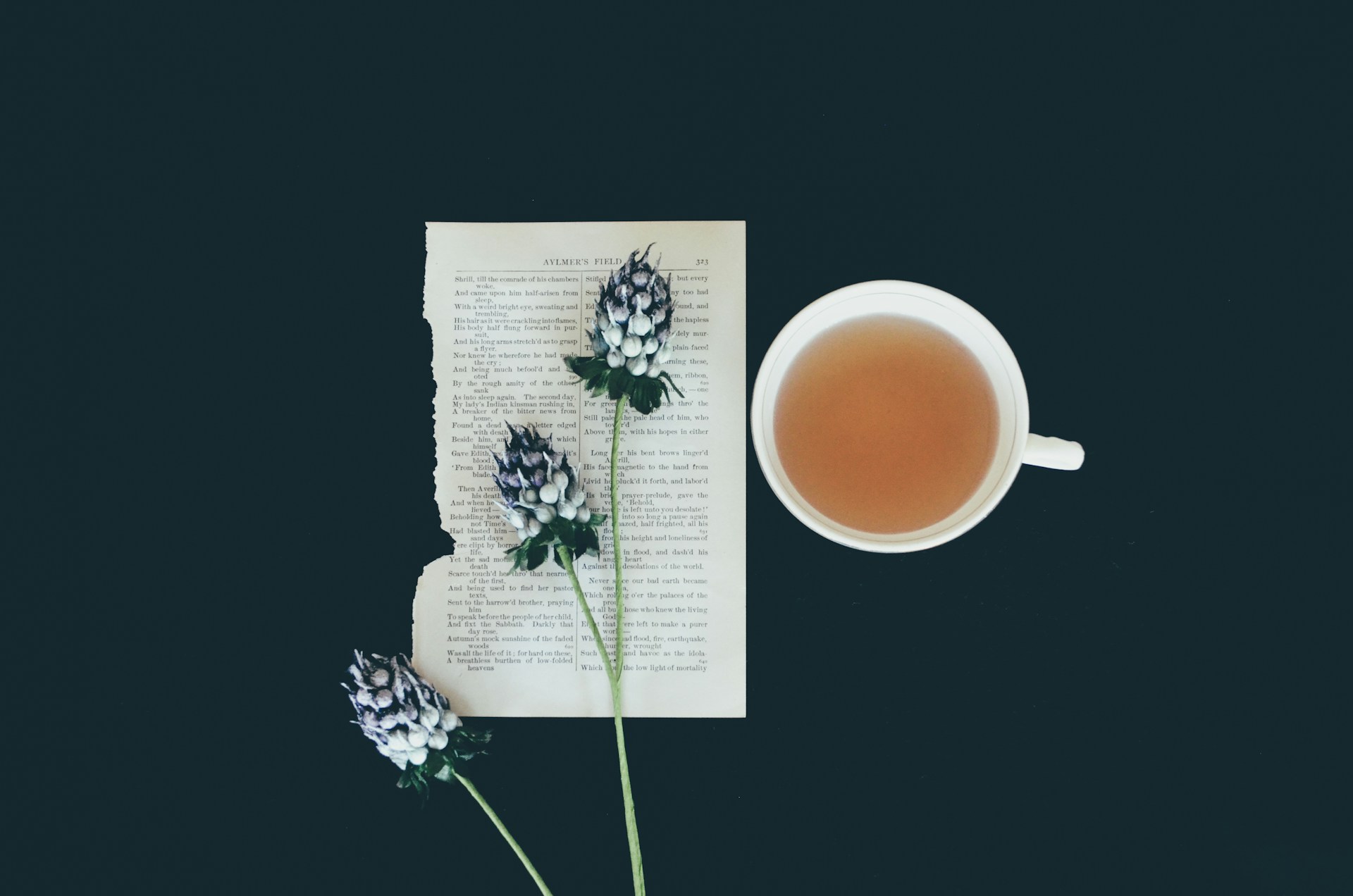 Why You Will Not Find Cure Claims on This Blog: How We Talk About Wellness