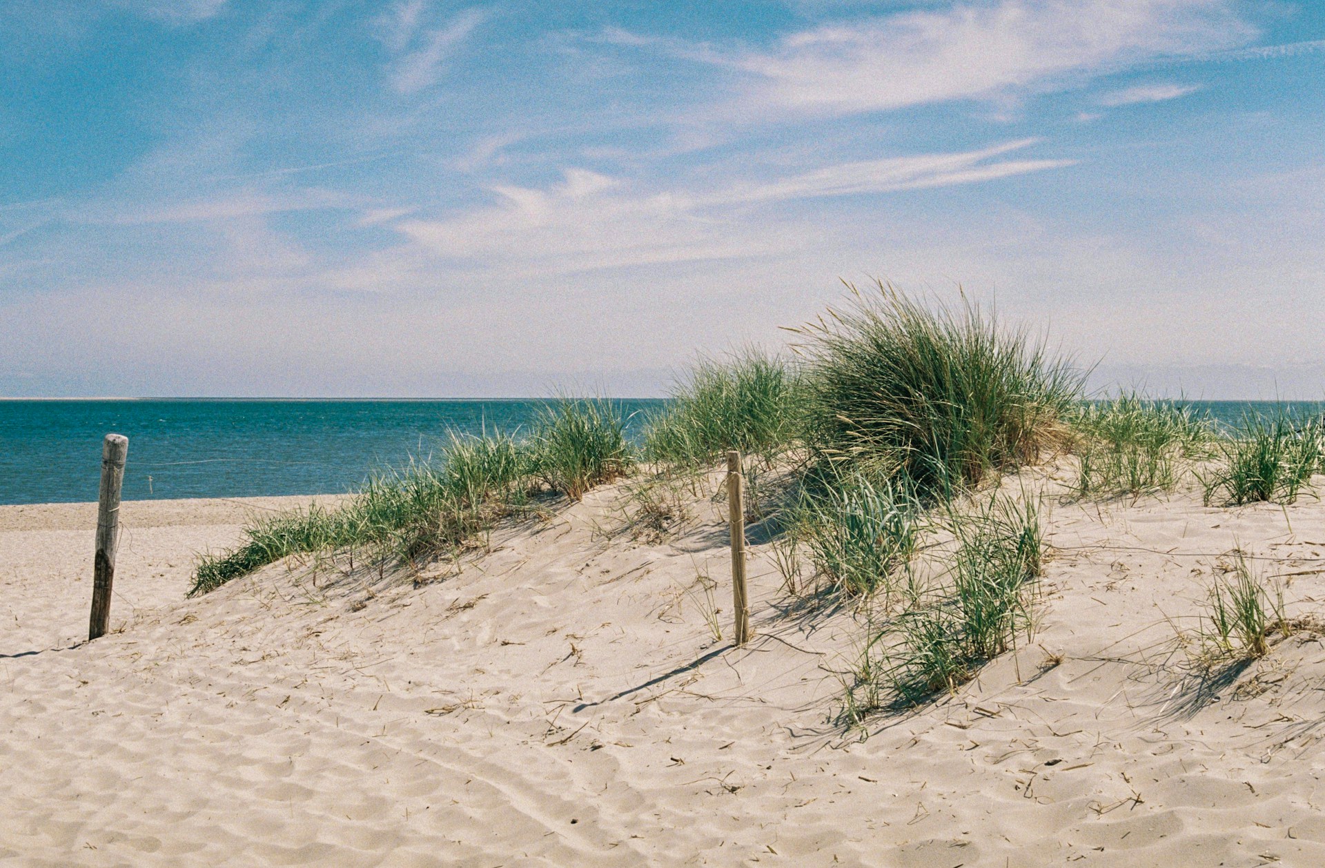 Beach Days on the Georgia Coast: Sun, Salt Water and Sharing the Sand