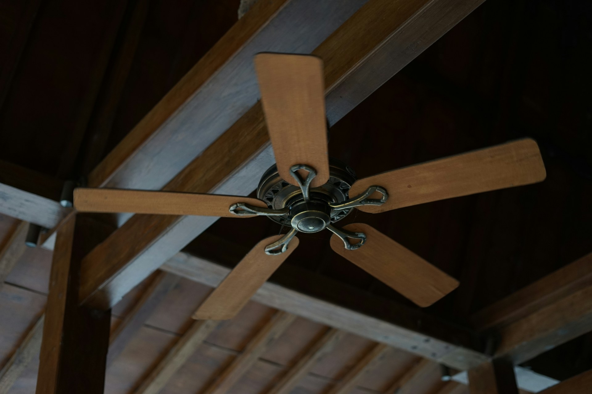 Fans, Parked Cars and the Hottest Hour: Summer Cooling Myths and Facts