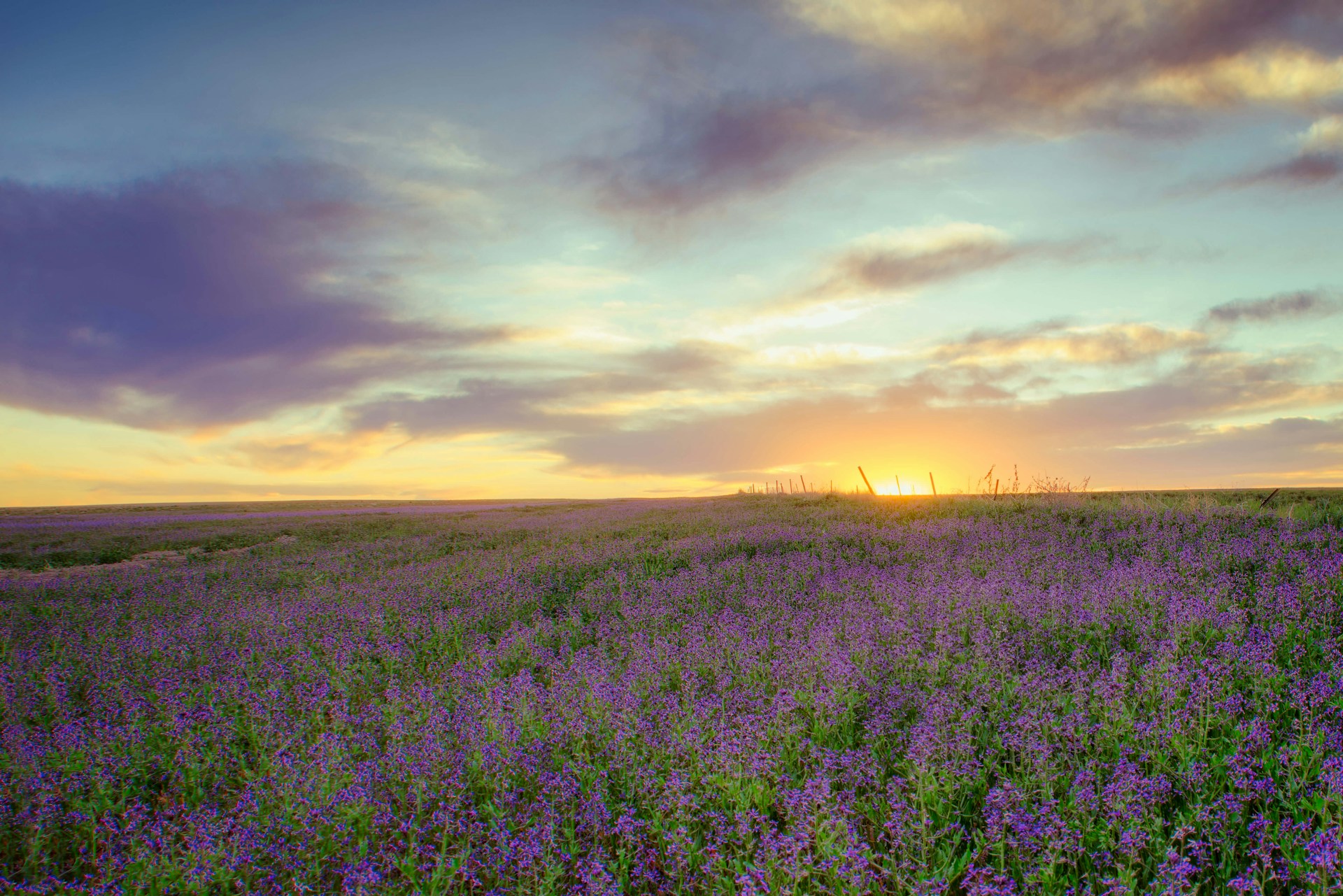 Marking the Summer Solstice: A Simple Ritual for the Longest Day of the Year