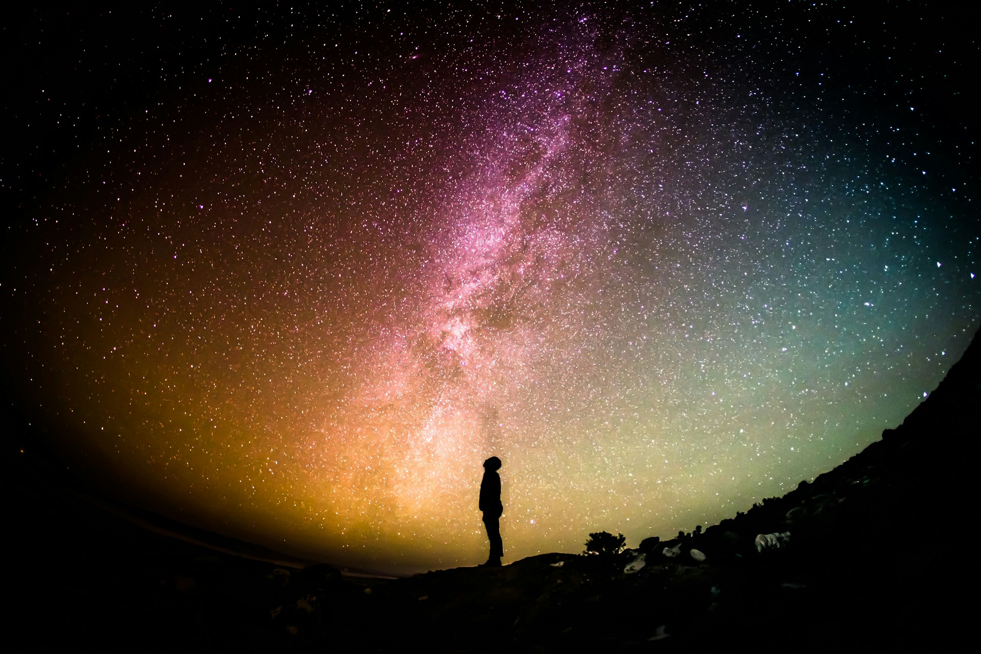 Summer Stargazing for Beginners: The Summer Triangle, the Milky Way and a Quiet Mind