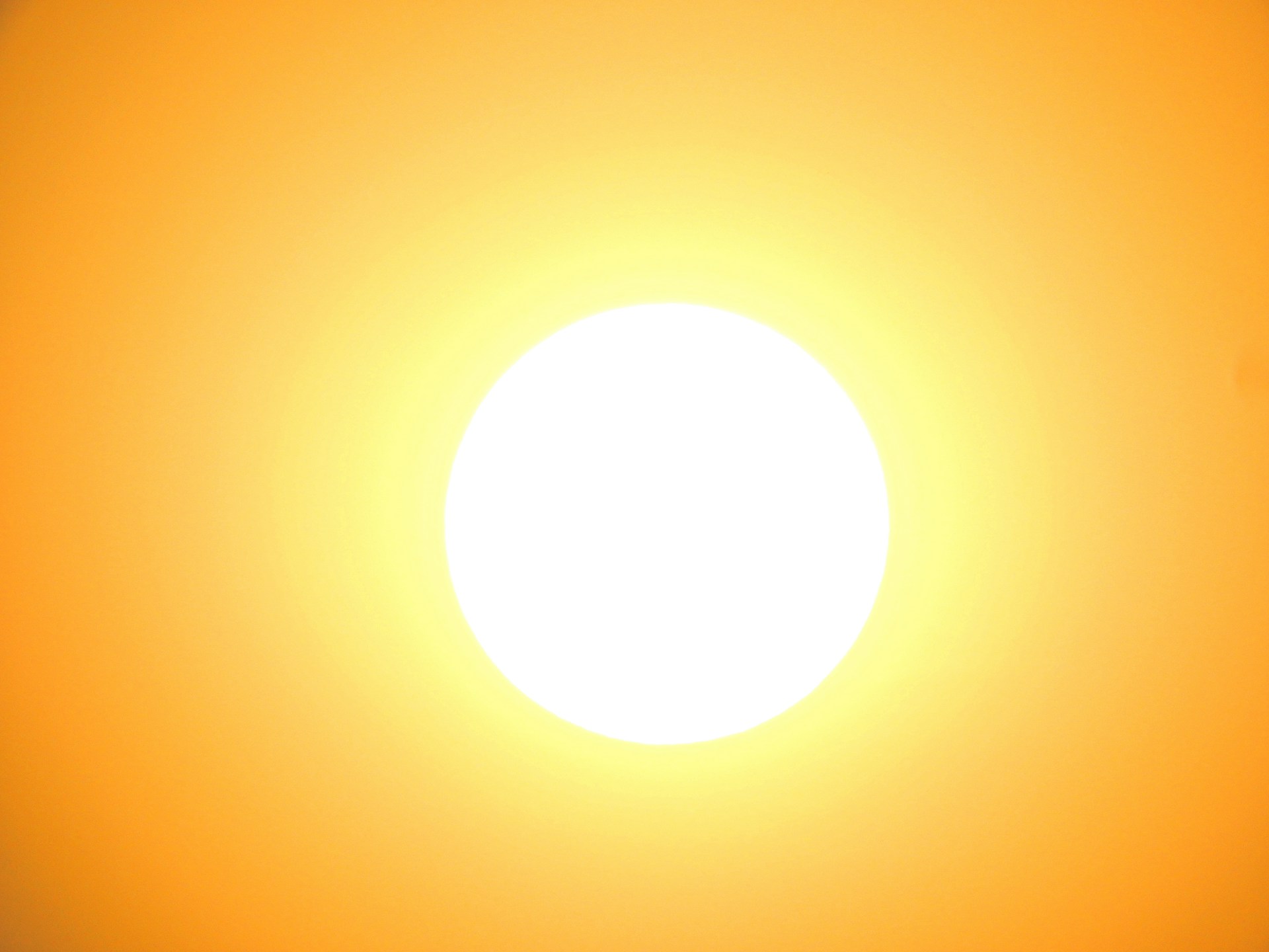 The Heat Index Explained: Why a Humid Afternoon Feels Hotter Than the Thermometer Says