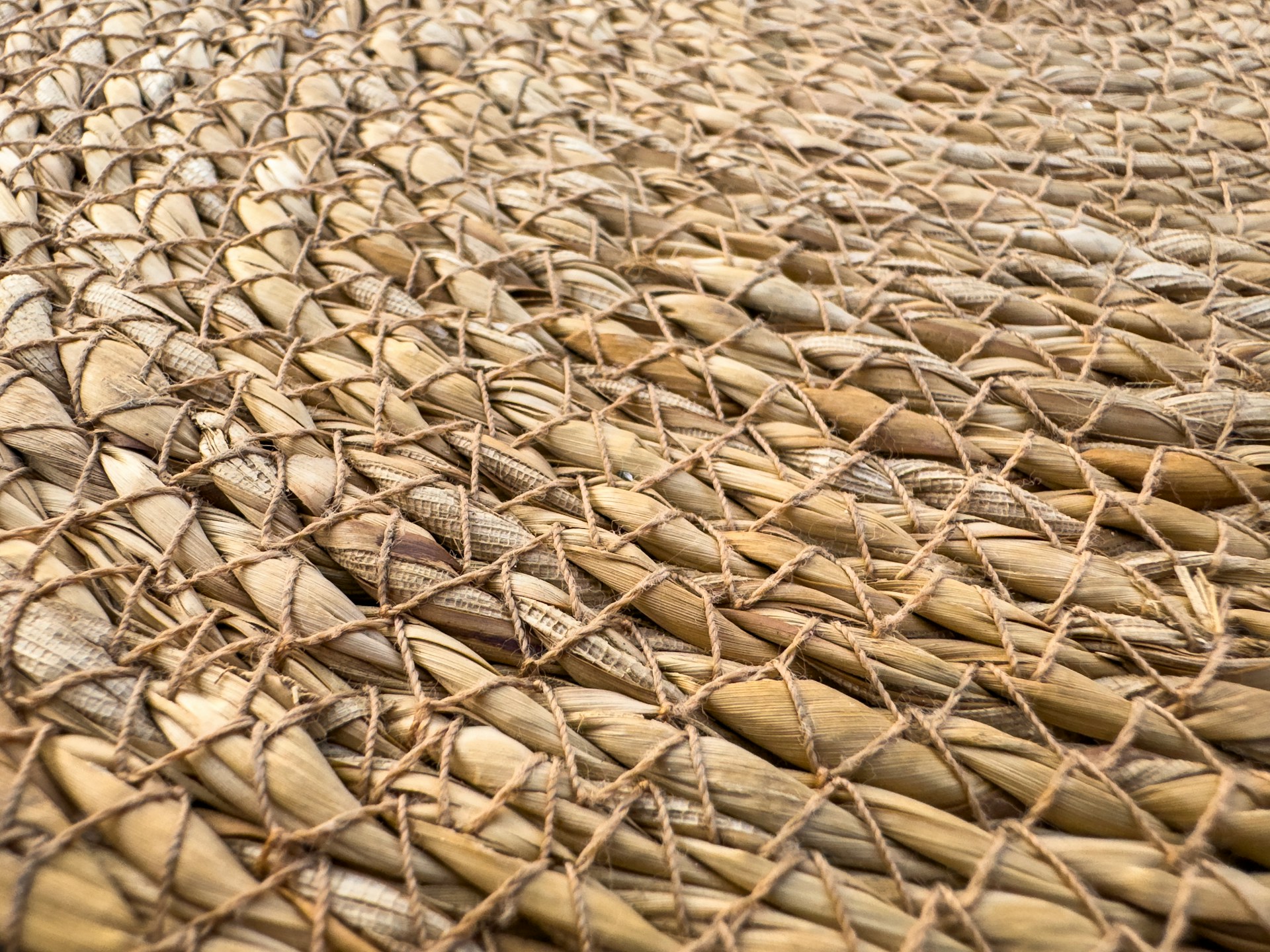Vetiver: The Earthy Root That Cooled and Scented India’s Summers